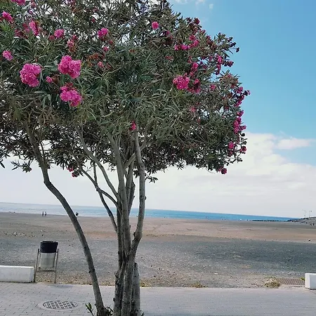 La Concha Playa